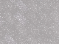 Виниловый ламинат EcoStone Glue NOX-1768 Фицрой Виниловый ламинат EcoStone Glue NOX-1768 Фицрой в Керчи
