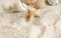 Декор 250х400 Summer Stone Holiday №2 Бежевый (В41321) в Керчи