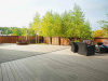 Террасная доска ДПК SW Fraxinus Террасная доска ДПК SW Fraxinus в Керчи